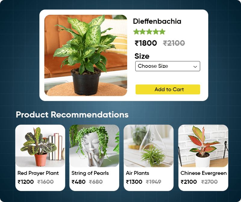 AI-Powered Product Recommendations